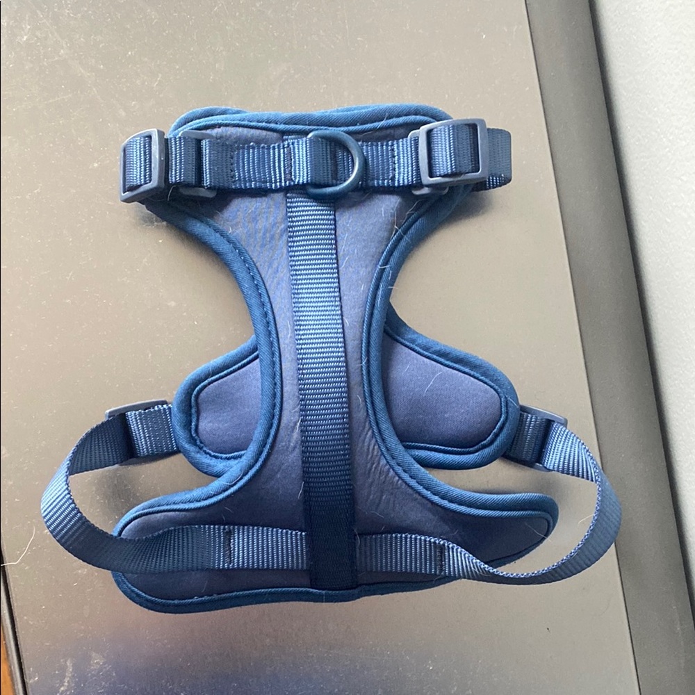 Wild One Navy Blue Dog Harness Small